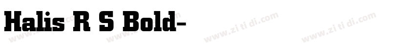 Halis R S Bold字体转换